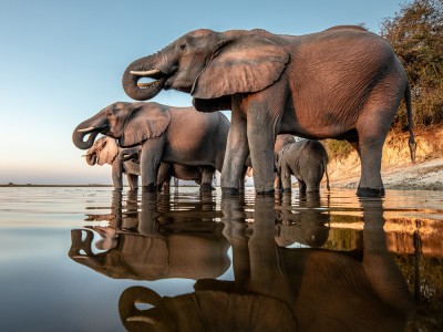 fot. Charl Stols