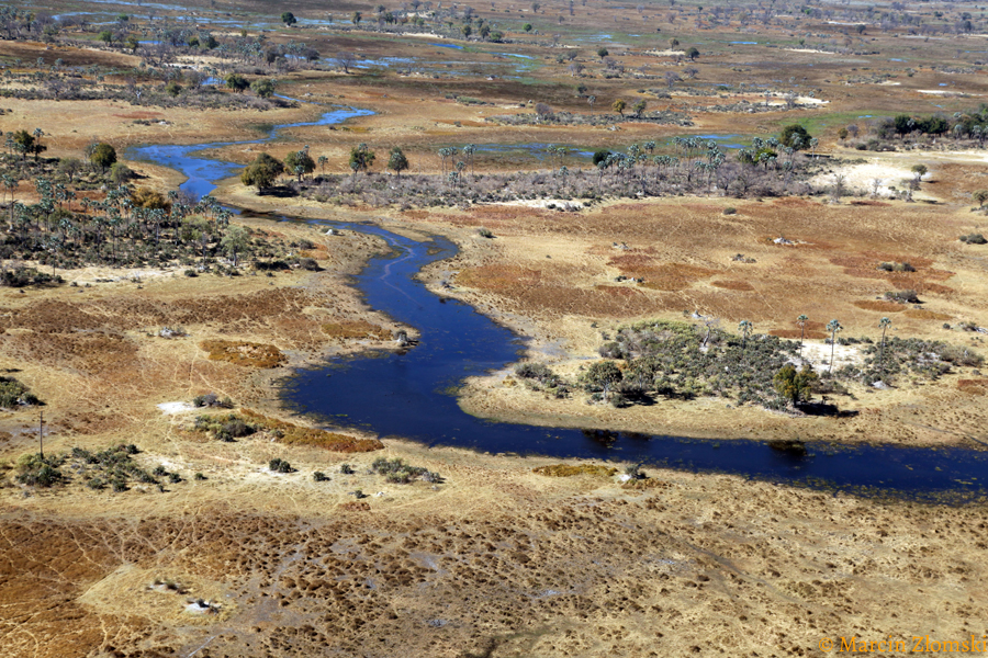 Delta Okawango
