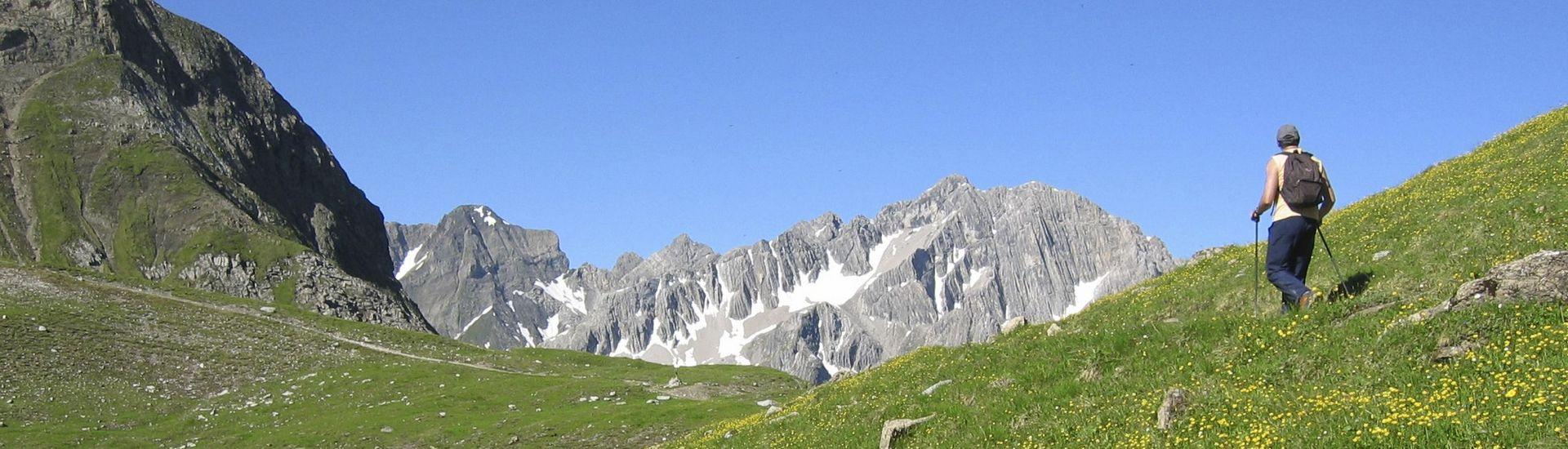 Górskie ścieżki Tyrolu