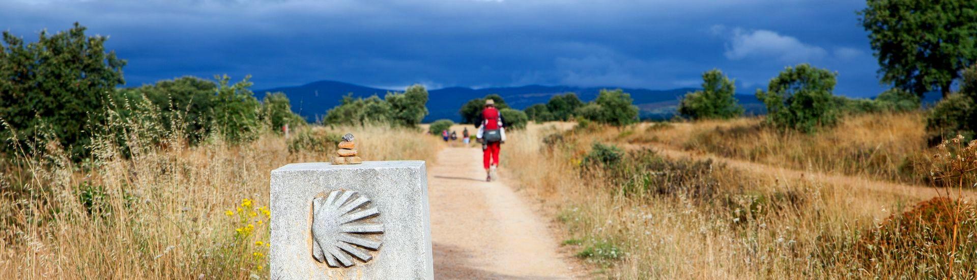 Camino de Santiago pieszo