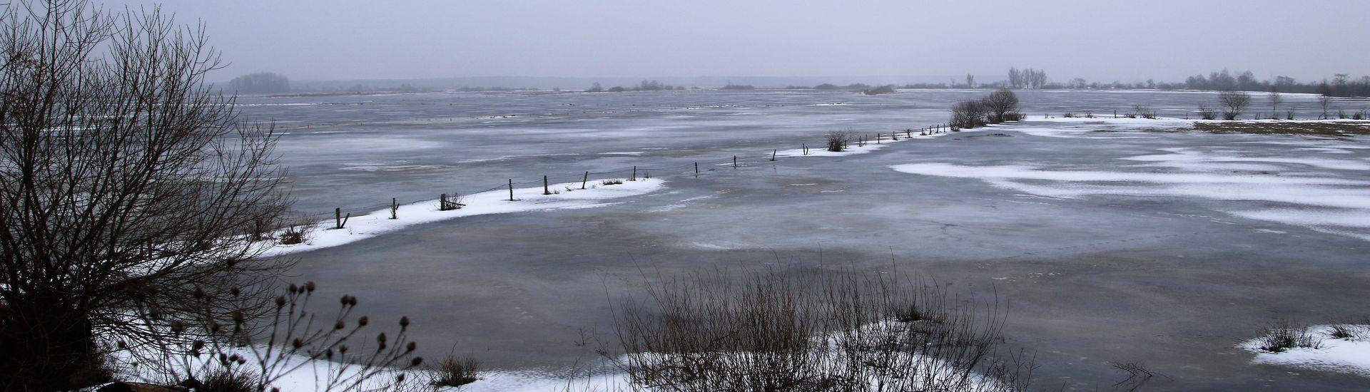 Przedwiośnie nad rozlewiskiem