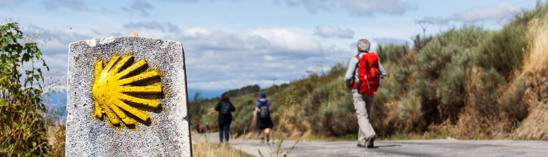 Camino Portugues pieszo