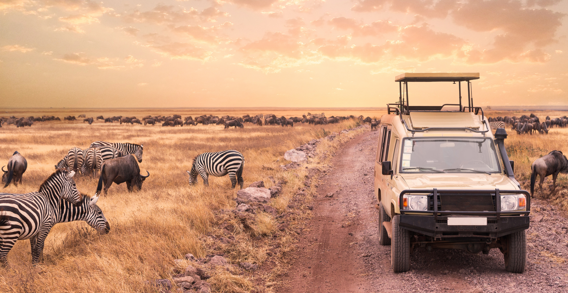 Namibia - w stronę słońca