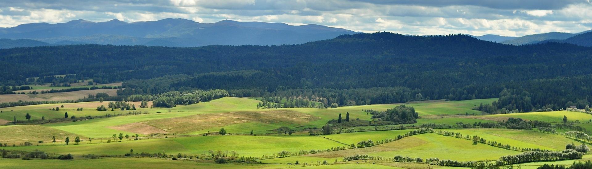 Na południe – od Ponidzia po Bieszczady