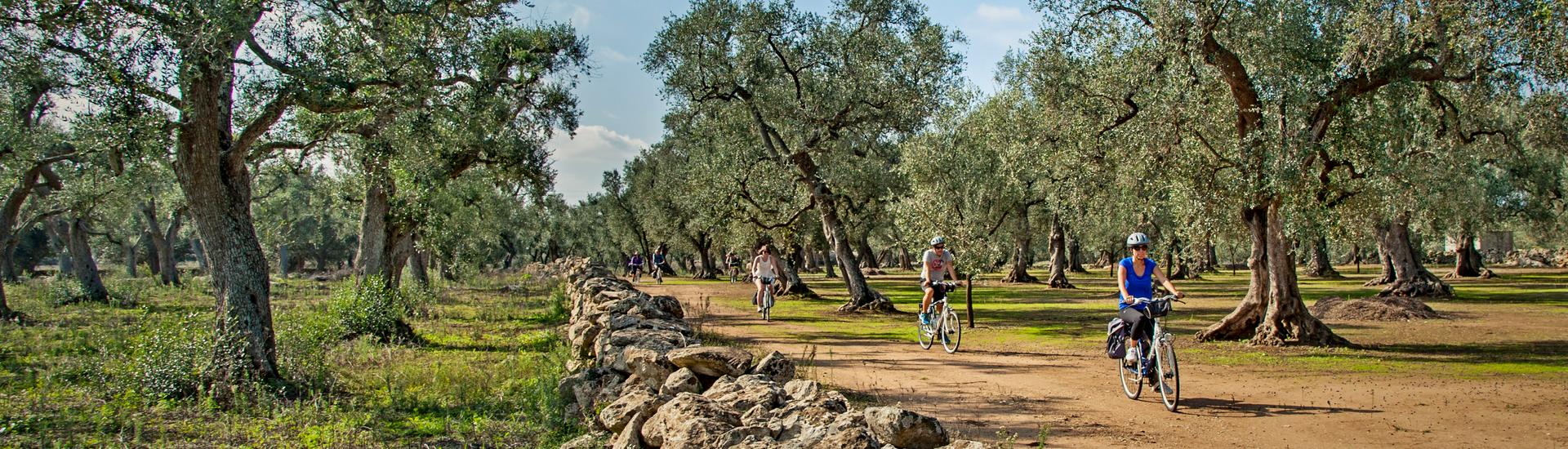 Rowerowa Apulia - dookoła Salento