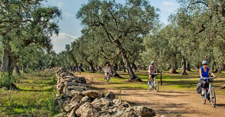 Rowerowa Apulia - dookoła Salento