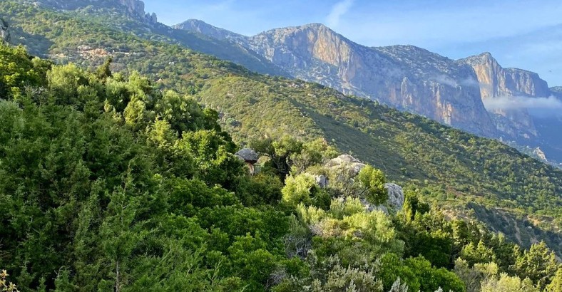 Dzikie ścieżki Sardynii