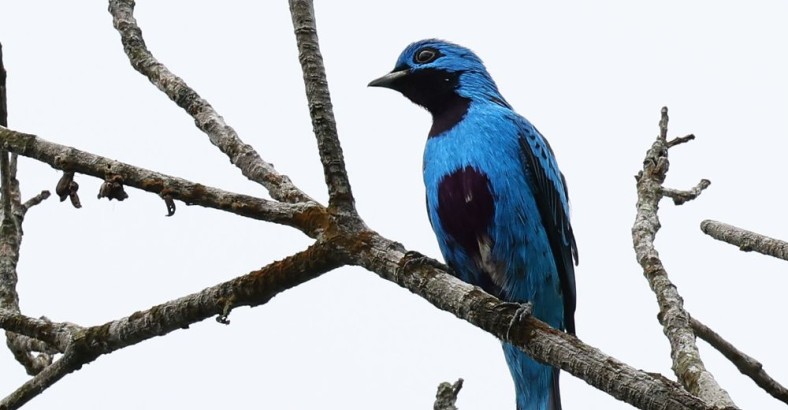 Panama - tropikalny łącznik dwóch Ameryk