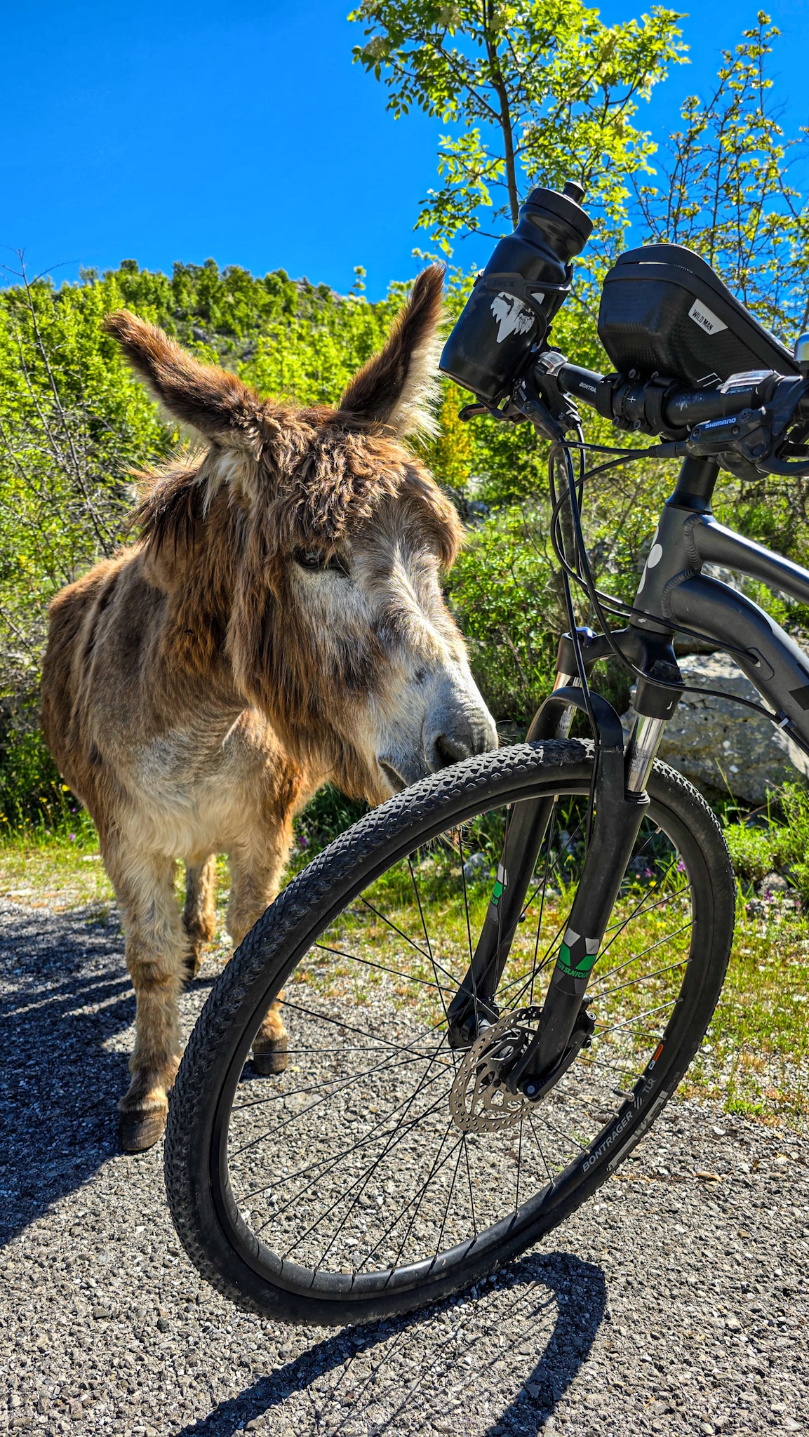 Osiołek - Zdjęcia z rowerowej wycieczki po Albanii i Czarnog&oacute;rze. fot. Wicher