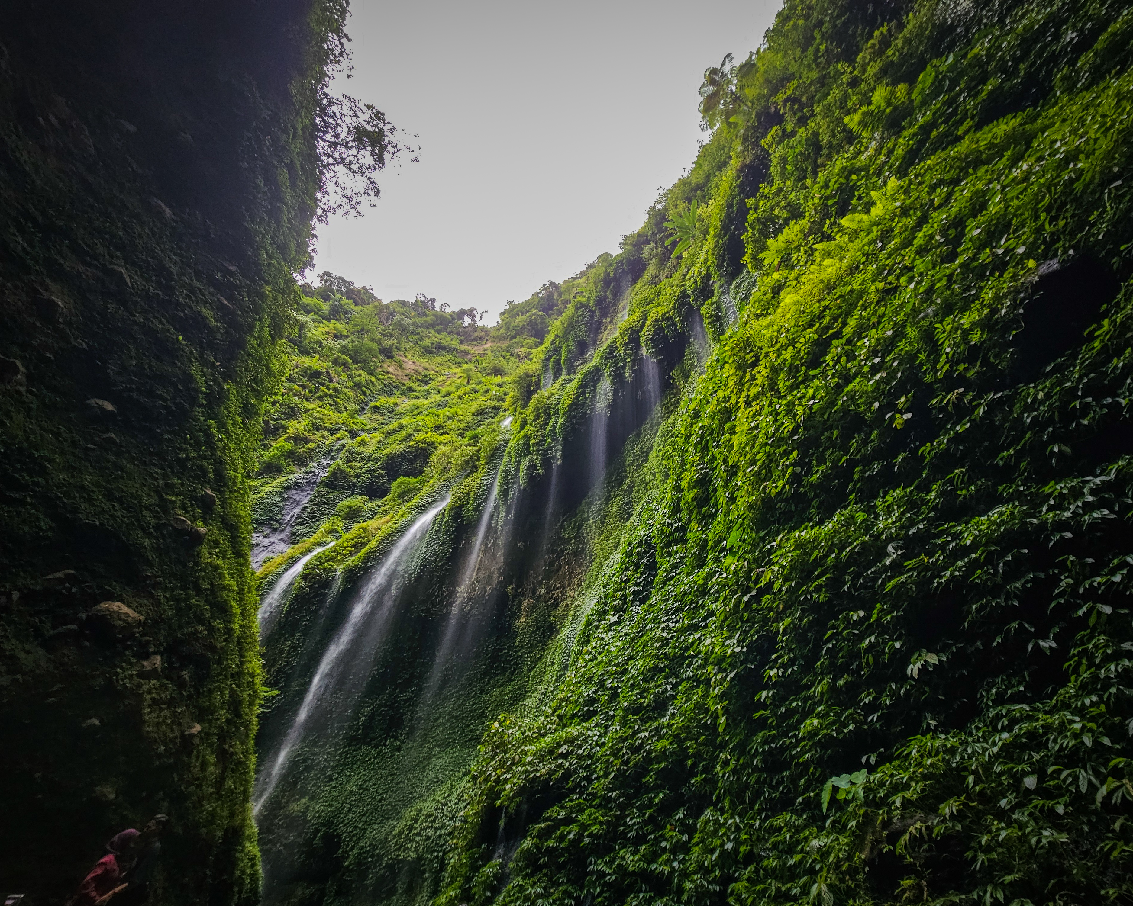 Wodospad Madakaripura